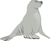 Curious Sea Lion Clip Art